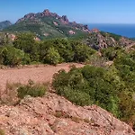 R1g-120 M Plage-2 Ch-jardin *